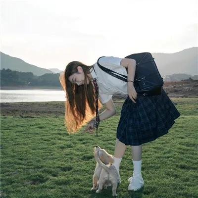 宫廷斗鸡